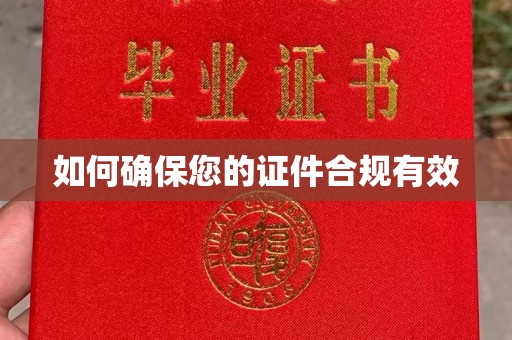 明港如何确保您的证件合规有效