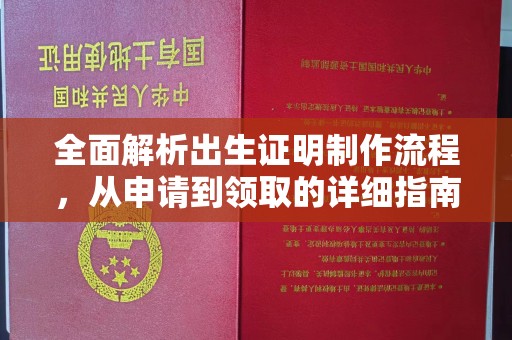明港全面解析出生证明制作流程，从申请到领取的详细指南