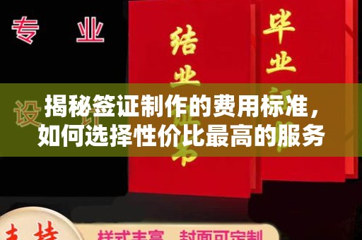 明港揭秘签证制作的费用标准，如何选择性价比最高的服务？